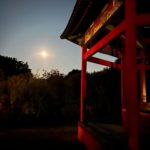 Pár kép a Tanyánkról!